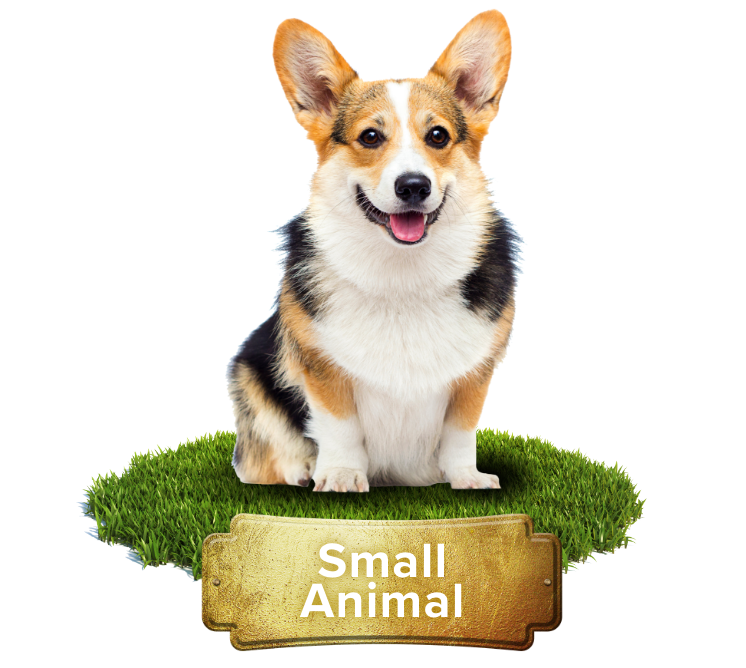 small animalproducts